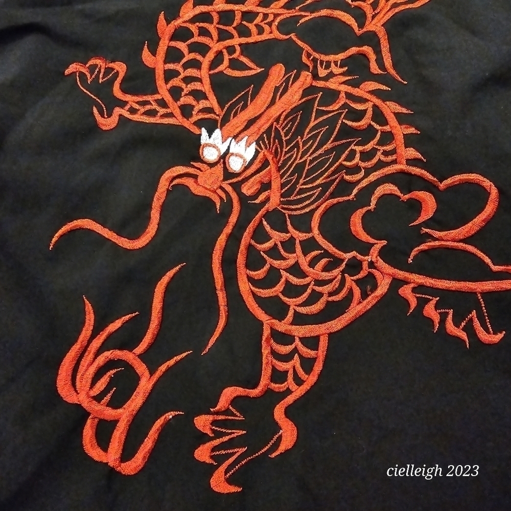 💥4 for $25💥 Dragon Embroidered Robe - Picture 3 of 7